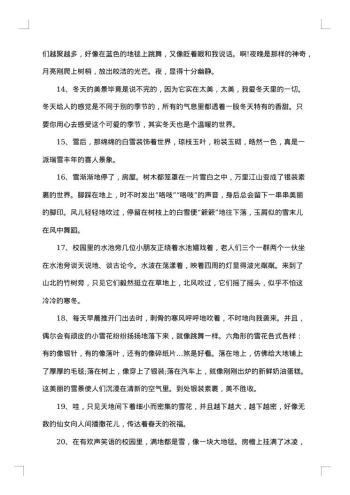 冬天的景色感言