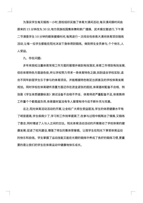 体育自查报告