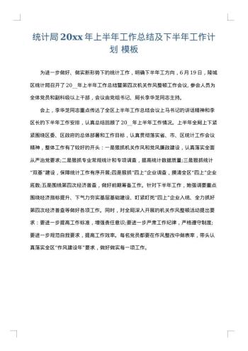 统计局20xx年上半年工作总结及下半年工作计划