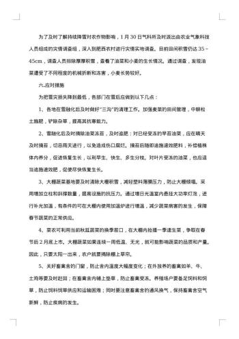 雪灾调查报告范文