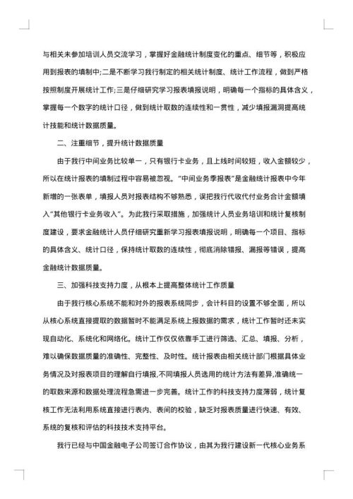 统计整改报告