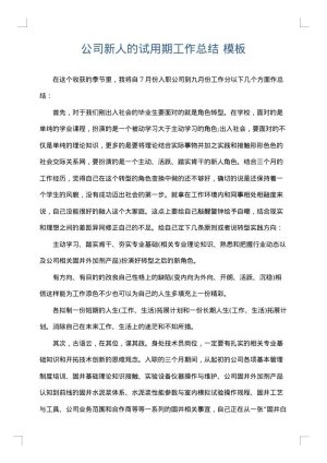 公司新人的试用期工作总结