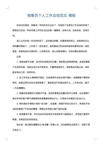 销售员个人工作总结范文