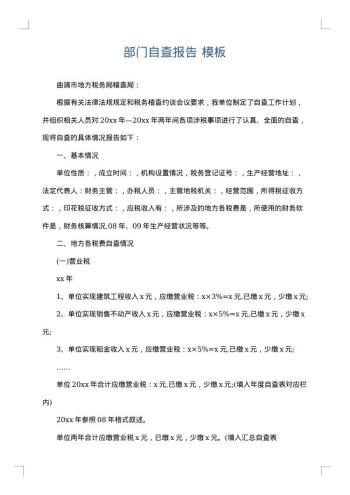 部门自查报告