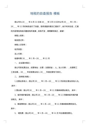 地税的自查报告