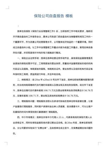 保险公司自查报告
