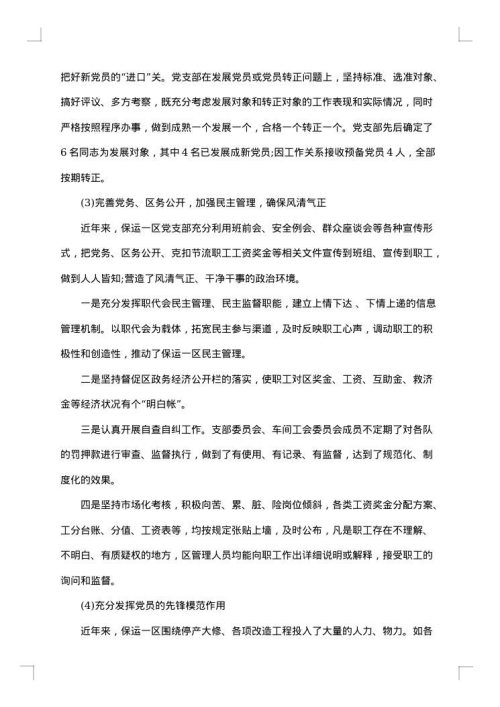 2025年党支部述职报告