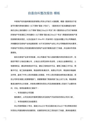 自查自纠整改报告