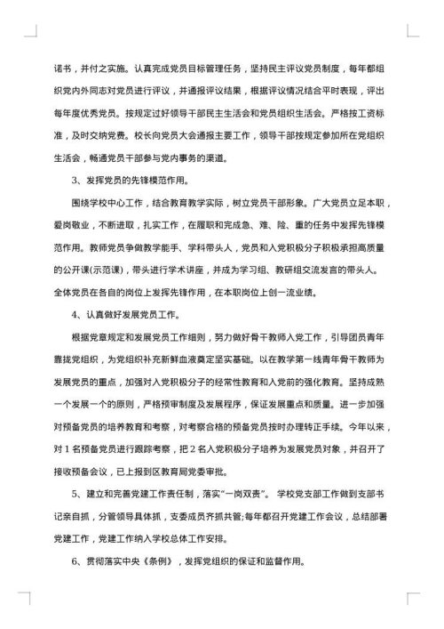 2025年学校党建个人工作总结
