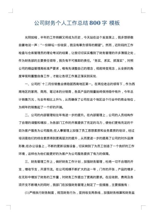 公司财务个人工作总结800字