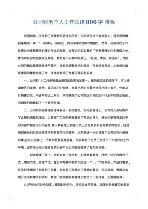 公司财务个人工作总结800字
