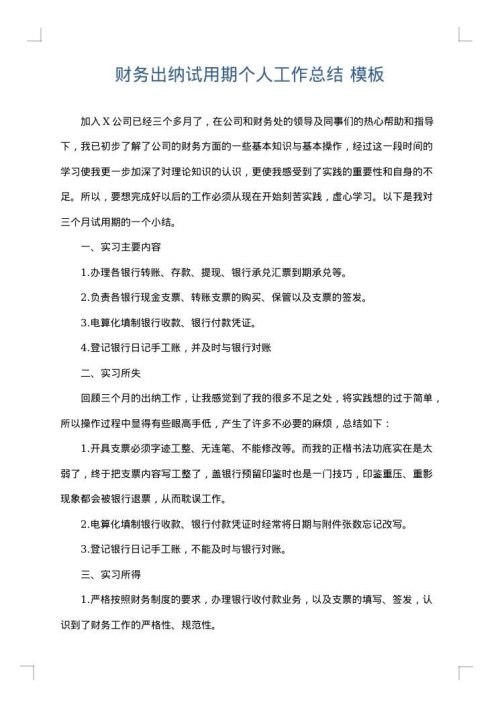 财务出纳试用期个人工作总结