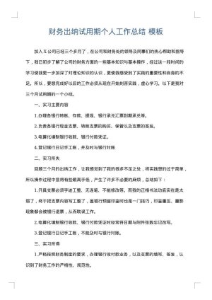 财务出纳试用期个人工作总结