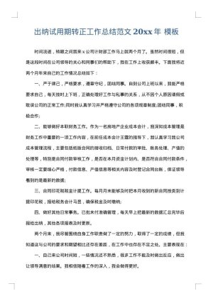 出纳试用期转正工作总结范文2025年