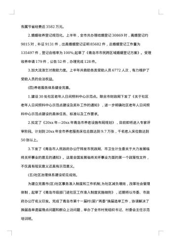 乡镇民政工作总结