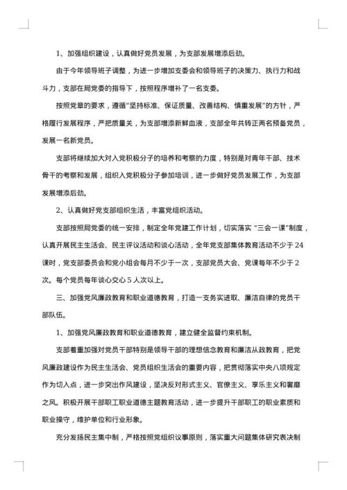党支部工作总结
