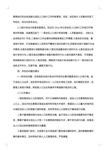 统计自查报告