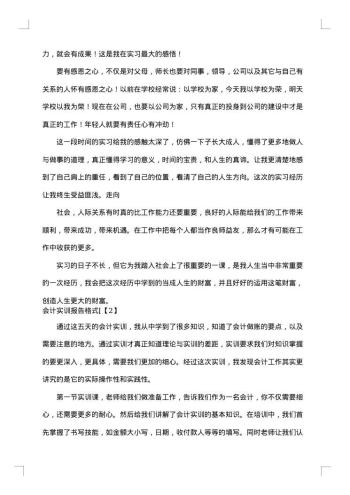 会计实训报告格式