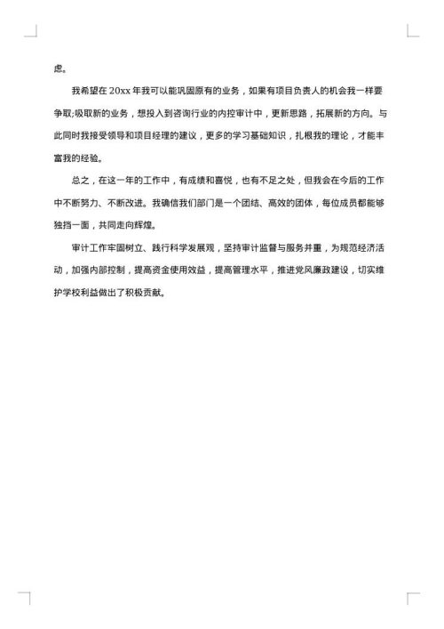 公司财务审计年终工作总结
