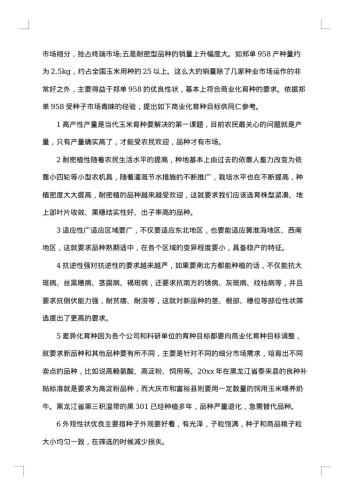 玉米调研报告