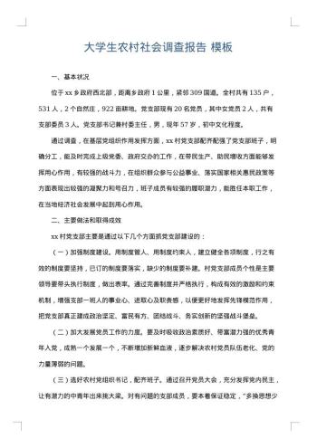 大学生农村社会调查报告