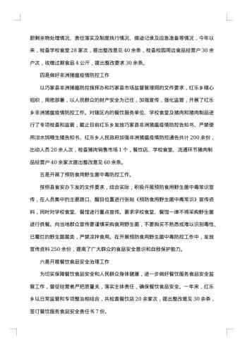 20xx年乡镇食品安全工作总结范文