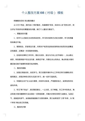 个人整改方案08(村级)