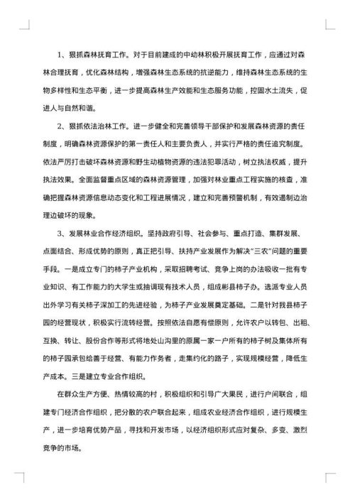 2025年现状调研报告
