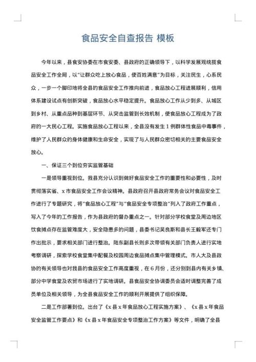 食品安全自查报告