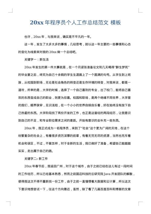 2025年程序员个人工作总结范文