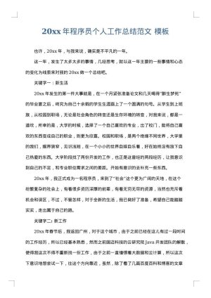 2025年程序员个人工作总结范文
