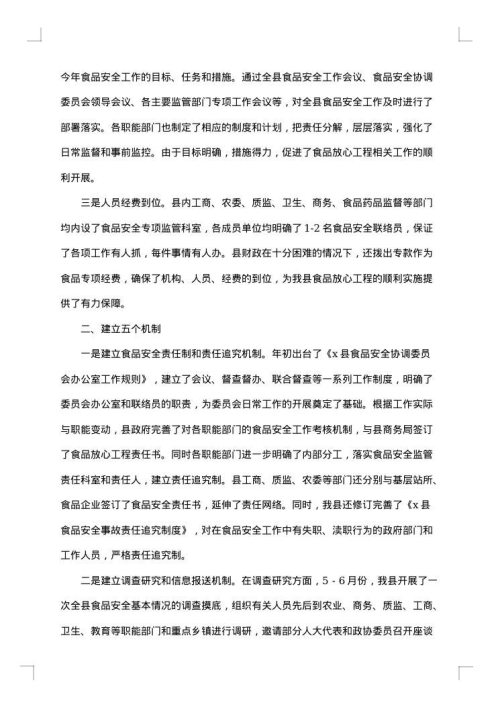 食品安全自查报告