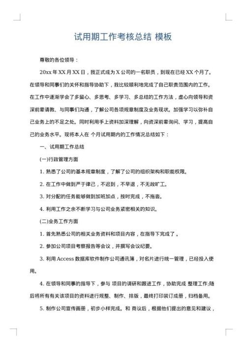 试用期工作考核总结