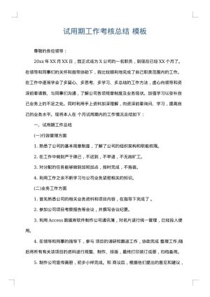 试用期工作考核总结