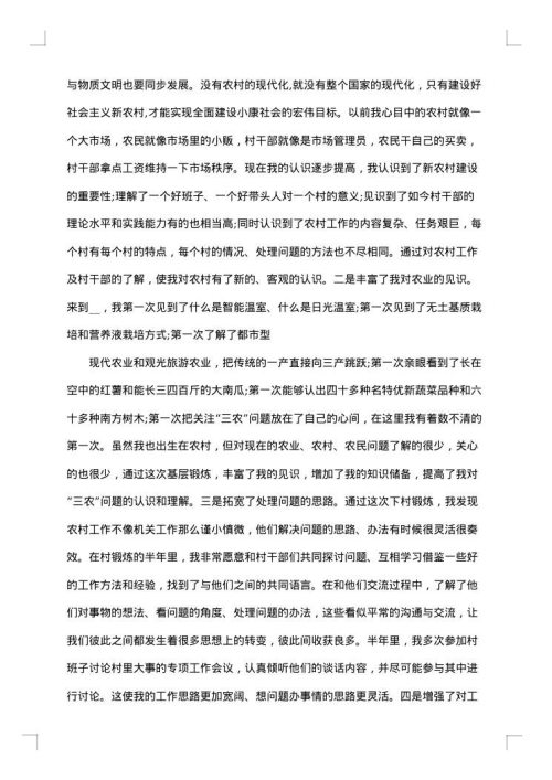 挂职锻炼年终工作总结范文