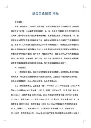 基金自查报告