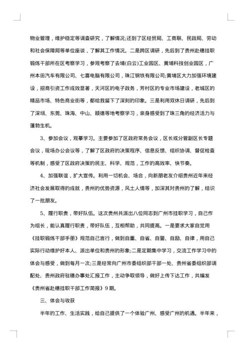 挂职锻炼年终个人工作总结范本