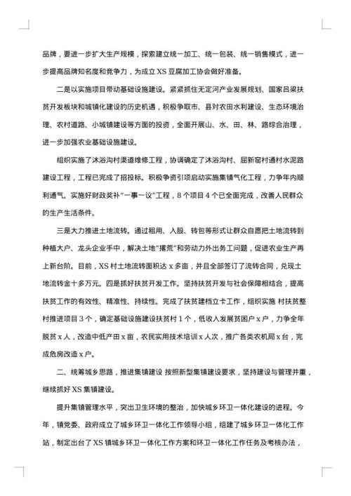 乡镇政府下半年工作总结