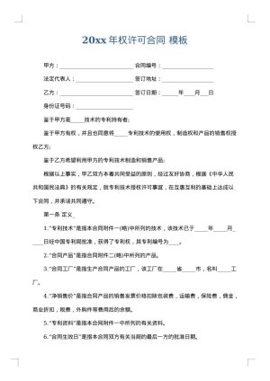 2025年权许可合同