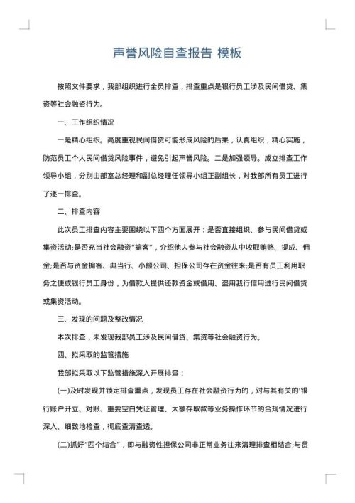 声誉风险自查报告