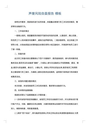声誉风险自查报告