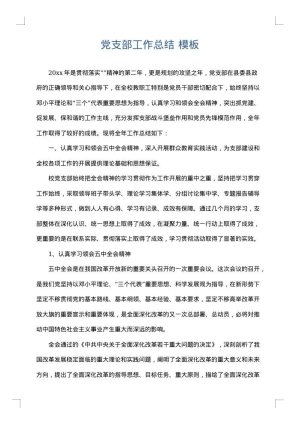 党支部工作总结