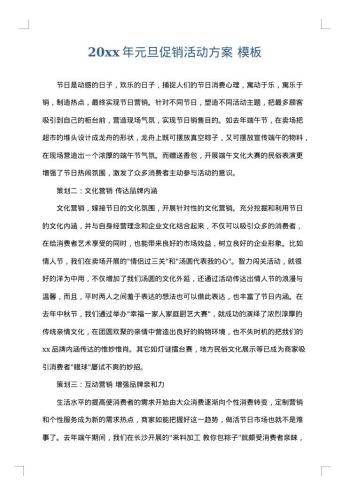 20xx年元旦促销活动方案