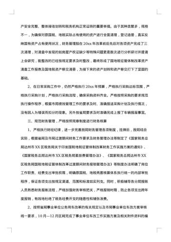 税务会计个人工作总结范本