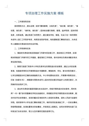 专项治理工作实施方案