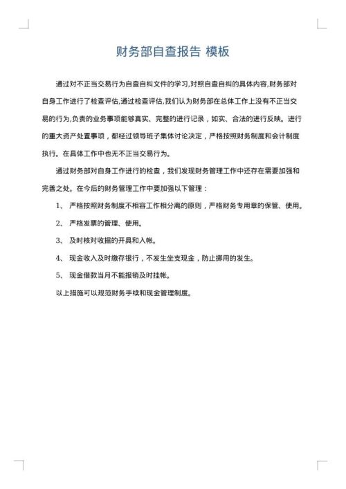 财务部自查报告
