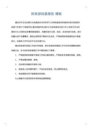 财务部自查报告