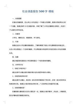 社会调查报告500字