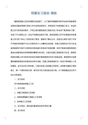 预算实习报告