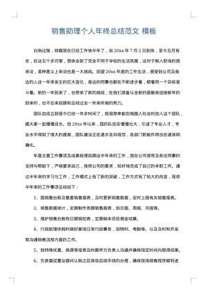 销售助理个人年终总结范文